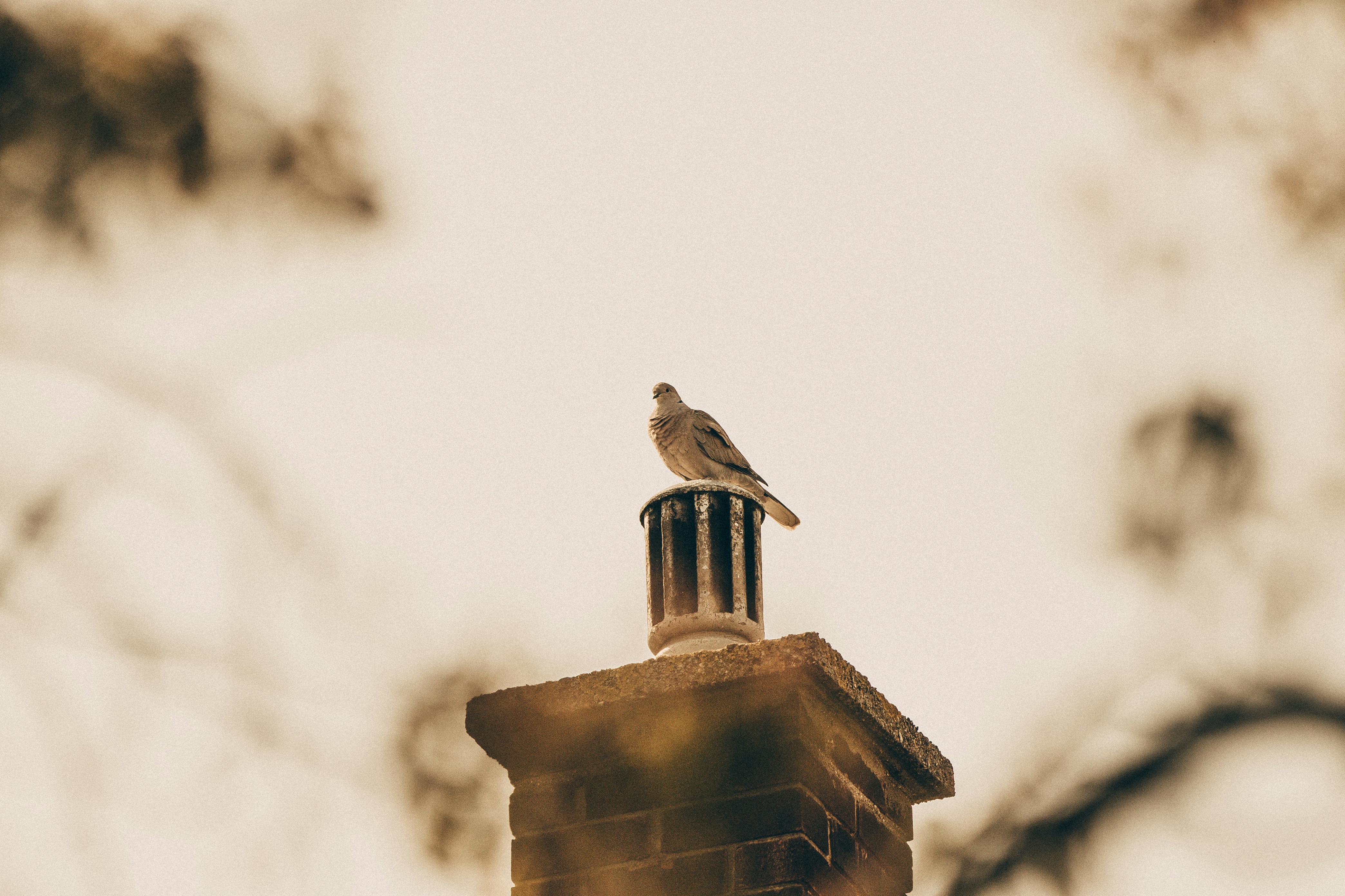 Professional Chimney Cap Installation Services in Millbury, MA Expert Chimney Cap Installation in Millbury, Massachusetts